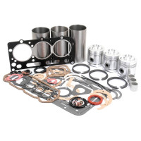 Motorüberholsatz passend für David Brown 1190, 1194, 780, 880, 885