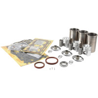 Motorüberholsatz für Case IH 238 3210 353 383 385 395 423 433 440 453 533 540