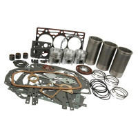 Motorüberholsatz für Case IH 248 3220 484 485 485XL 495 495XL 523 553 633 640