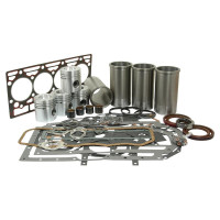 Motorüberholsatz für Case IH / International Harvester 4220 784 785XL 795 844XL