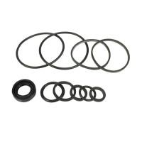 Dichtsatz Hydraulikpumpe für David Brown 1200 1390 1394 1412 1494 1594 1690 Turbo