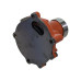 Wasserpumpe für Case IH JX JXM Fiat 45-66 - 140-90 Ford / New Holland TD TN TT