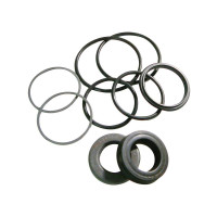 Dichtungsringe Zylinder Servolenkung für Ford / New Holland 455 550 5500 555 5550 655 655A 755