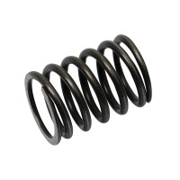 4x Ventilfeder für Massey Ferguson 35 35X 135 TE20 TEA20 TED20 - 825186M1