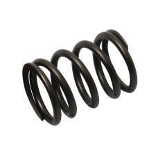 Ventilfeder für Case IH JXM JX Ford / New Holland TD TK TN Fiat L60 45-66 140-90