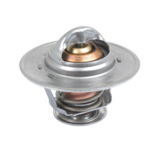 Thermostat für Case IH JX Fiat 466 780 45-66 90-90 Ford / New Holland TD TK TN TT