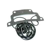 Dichtsatz Hydraulikpumpe für Case IH JX Fiat L65 Ford / New Holland TN TS TW Steyr Kompakt