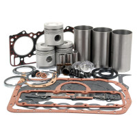 Motorüberholsatz für Ford / New Holland 3000, 333, 335, 3600, 3900 - BSD326