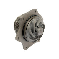 Wasserpumpe für Case IH MXM Fiat M100-M160 Ford / New Holland 8160 8260 8560 TM