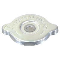 Kühlerdeckel für Case IH MXU Ford/New Holland 8160 TM TS Fiat M100-160 Steyr Profi