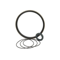 Dichtsatz  für Merlo EV Series, KT Series, SP Series