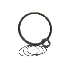 Dichtsatz  für Merlo EV Series, KT Series, SP Series