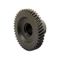 Zahnrad 43er für Ford / New Holland 5640 6640 7740 7840 8240 8340 TS 80 90 100