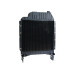 Kühler für Massey Ferguson 3070 3075 3085 3095 3115 3120 6150 6160 6170 6180