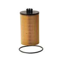 Ölfilter für Deutz-Fahr Agrofarm Agroplus Agrotron DX Fendt 712 722 822 824 Vario