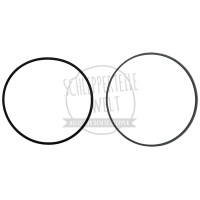 Dichtsatz Kolben passend für McCormick / IHC 955 956XL 1055 1056XL 8004375R91