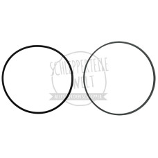 Dichtsatz Kolben passend für McCormick / IHC 955 956XL 1055 1056XL 8004375R91