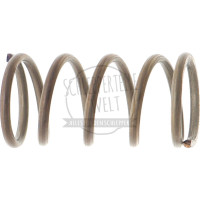 Feder Zapfwellenschaltung passend für Fendt F 255 GT