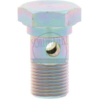 Hohlschraube zum Ausgleichbehälter