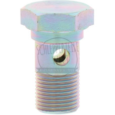 Hohlschraube zum Ausgleichbehälter