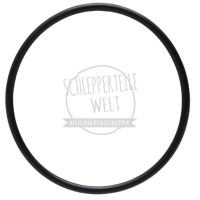 O-Ring Lichtmaschine passend für Porsche-Diesel 108 109 111