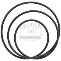 Dichtring Ölhydraulische Kupplung, 285 x 4 mm für Porsche-Diesel 217 218 238