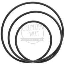 Dichtring Ölhydraulische Kupplung, 285 x 4 mm für Porsche-Diesel 217 218 238