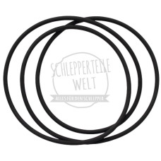 Dichtring Ölhydraulische Kupplung, 315 x 4 für Porsche-Diesel 208 308 318 329