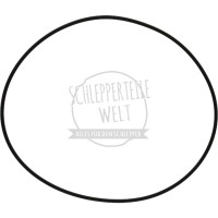Dichtring Lagerflansch Hinterachswelle für Deutz-Fahr 219 329 339 2506 3006 4006