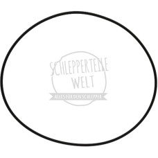 Dichtring Lagerflansch Hinterachswelle für Deutz-Fahr 219 329 339 2506 3006 4006