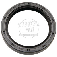 Wellendichtring Hinterachswelle für Deutz-Fahr 2505 2506 3005 3006 4006 D 25.2