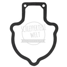 Dichtung Hydraulikpumpenantrieb für Porsche-Diesel 217 218 238 AP 16 AP 17 AP 18