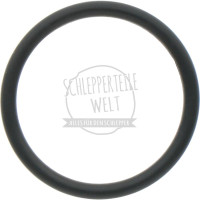O-Ring Stößelrohr, unten passend für Eicher ED2 ED3 ED23036