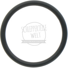 O-Ring Stößelrohr, unten passend für Eicher ED2 ED3 ED23036