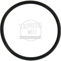 O - Ring Zylinderdeckel Regelhydraulik, 82 x 5,5 für Eicher 3007 3008 3009 3010