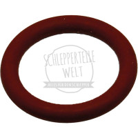 O-Ring Ventilführung passend für Eicher ED1 ED2 ED3 ED12053