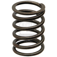 Ventilfeder passend für Güldner G 25 G 30 G 35 G 40 G 50 G 60 G 75 L 79