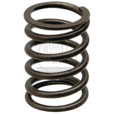 Ventilfeder passend für Güldner G 25 G 30 G 35 G 40 G 50 G 60 G 75 L 79