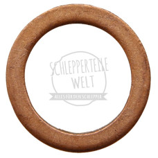 Düsendichtring passend für Güldner 2LD A2DL A2L A34 ALK G40 G60 OM 636