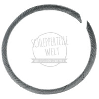 Kurbelwellendichtung Schwungradseitig für Güldner G 25 G 30 G 35 G 40 G 50 G 60