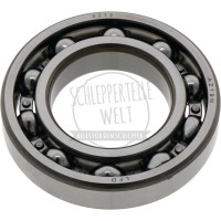 Lager Achswelle innen für McCormick / IHC 323 423 533 833 D 322 D 430 D 439