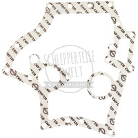 Dichtung Motorblock Zwischenplatte für McCormick / IHC 323 D 320 D 322 D 323