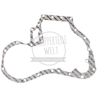 Dichtung Steuergehäuse Zwischenplatte für McCormick / IHC 323 D 320 D 322 D 323