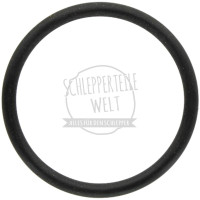 O-Ring Regelstift für McCormick / IHC 323 383 433 533 633 833 D 326 D 439