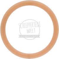 Abstreifer hydraulische Bremse für McCormick / IHC 554 644 743 744 745 844 844S