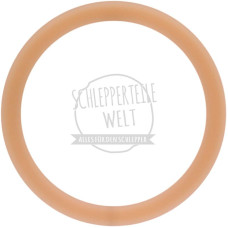 Abstreifer hydraulische Bremse für McCormick / IHC 554 644 743 744 745 844 844S