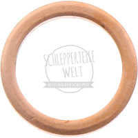 Dichtring Einspritzdüse für Deutz-Fahr 8005 D 25.1S D 30S D 40L D 3005 D 5505