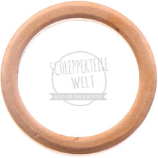 Dichtring Einspritzdüse für Deutz-Fahr 8005 D 25.1S D 30S D 40L D 3005 D 5505