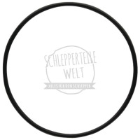 Dichtring Verschlußstopfen 74 x 3 mm für Deutz-Fahr 3006 4006 5006 5206 5506