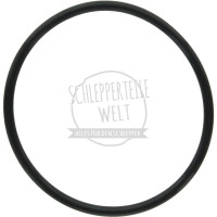 Dichtring Hubwelle 75 x 4 mm passend für Deutz-Fahr 6005